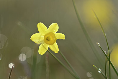 BUITEN BEELD Foto: 342221