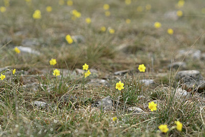 BUITEN BEELD Foto: 342223
