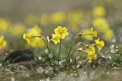 BUITEN BEELD Foto: 342230