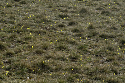 BUITEN BEELD Foto: 342236
