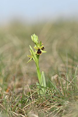 BUITEN BEELD Foto: 342241