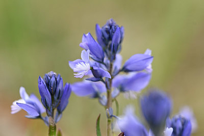 BUITEN BEELD Foto: 342267