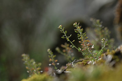 BUITEN BEELD Foto: 342292