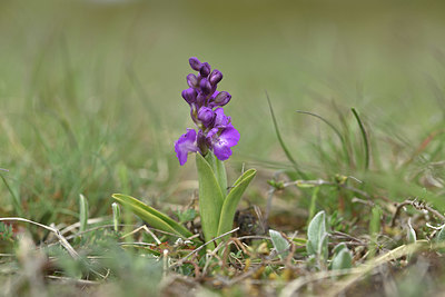 BUITEN BEELD Foto: 342315