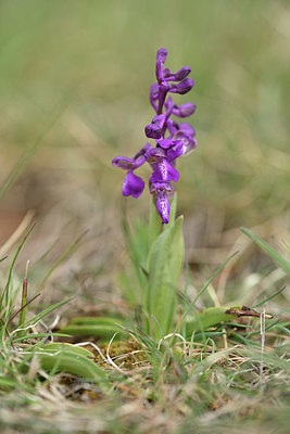 BUITEN BEELD Foto: 342320