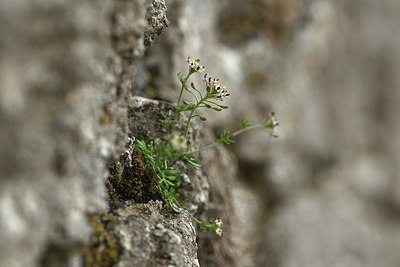 BUITEN BEELD Foto: 342324