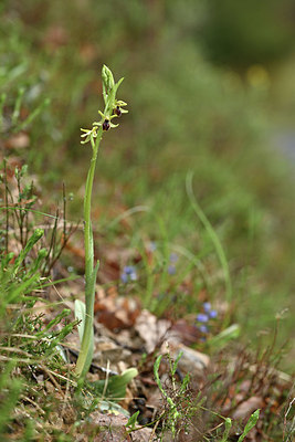BUITEN BEELD Foto: 342350