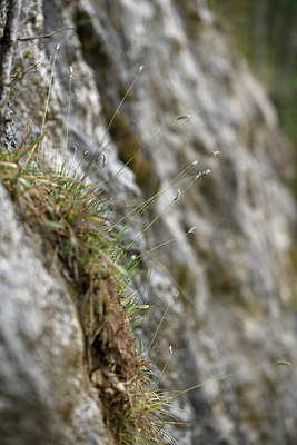 BUITEN BEELD Foto: 342351