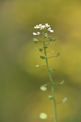 BUITEN BEELD Foto: 342355