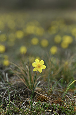 BUITEN BEELD Foto: 342371