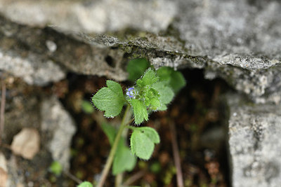 BUITEN BEELD Foto: 342386