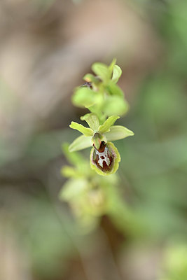 BUITEN BEELD Foto: 342397