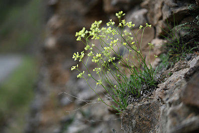 BUITEN BEELD Foto: 342429