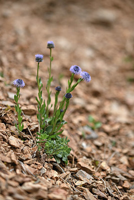 BUITEN BEELD Foto: 342430