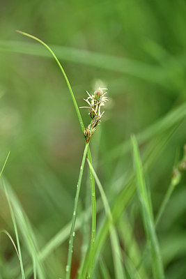 BUITEN BEELD Foto: 342448
