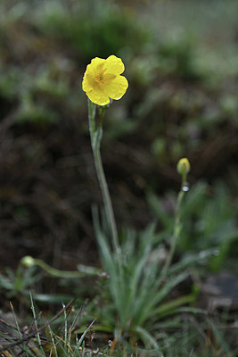 BUITEN BEELD Foto: 342461