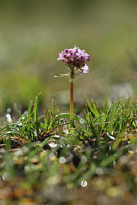BUITEN BEELD Foto: 342468