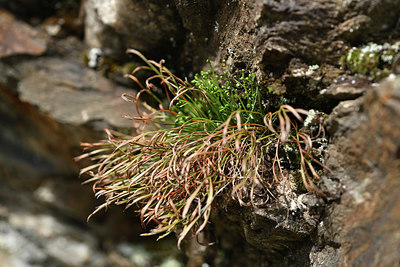 BUITEN BEELD Foto: 342479