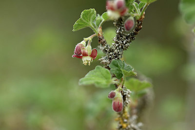 BUITEN BEELD Foto: 342499