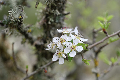 BUITEN BEELD Foto: 342527