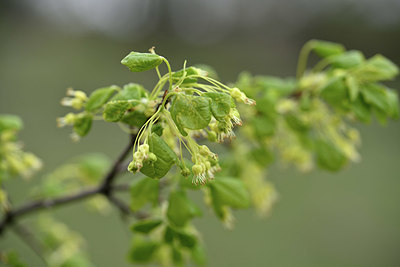BUITEN BEELD Foto: 342616