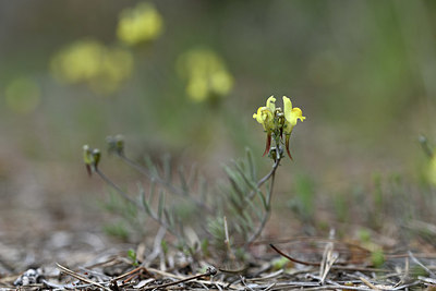 BUITEN BEELD Foto: 342639