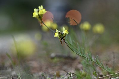 BUITEN BEELD Foto: 342640