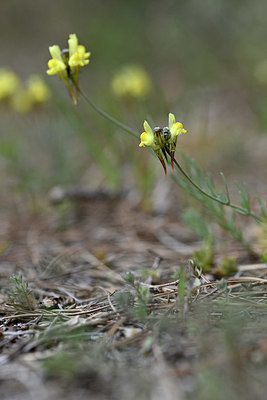 BUITEN BEELD Foto: 342641