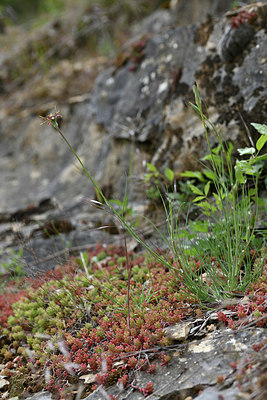 BUITEN BEELD Foto: 342652