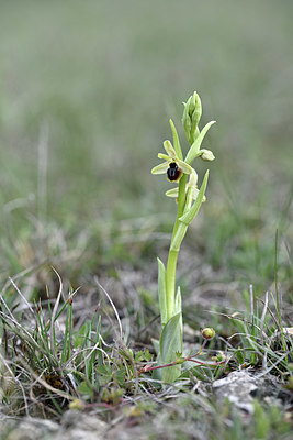 BUITEN BEELD Foto: 342675