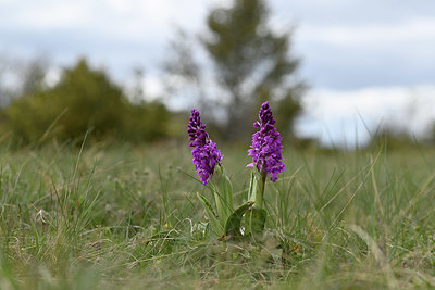 BUITEN BEELD Foto: 342678