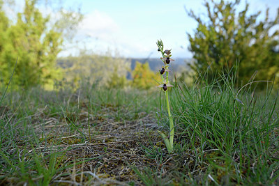 BUITEN BEELD Foto: 342689