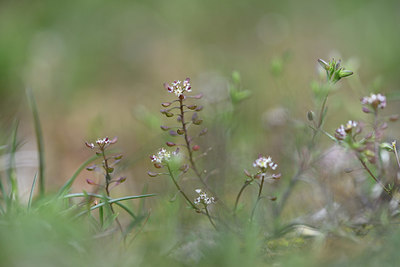 BUITEN BEELD Foto: 342700