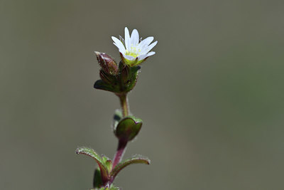 BUITEN BEELD Foto: 342708