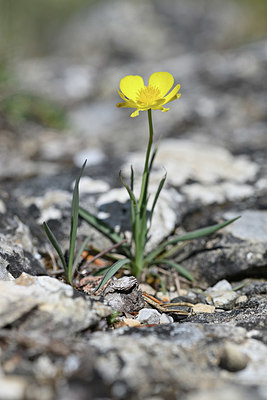 BUITEN BEELD Foto: 342722