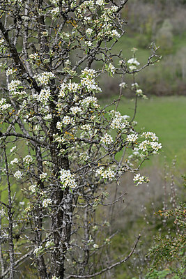 BUITEN BEELD Foto: 342728