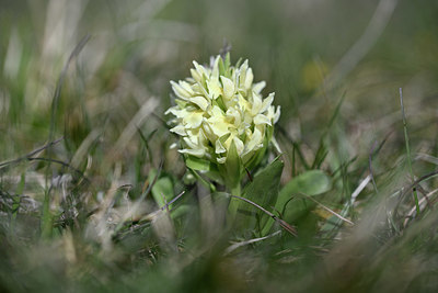 BUITEN BEELD Foto: 342741