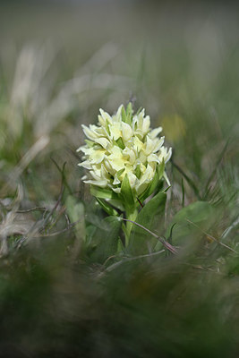 BUITEN BEELD Foto: 342742