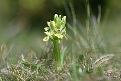 BUITEN BEELD Foto: 342743