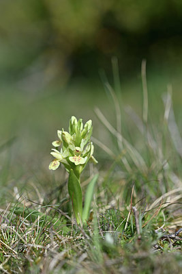 BUITEN BEELD Foto: 342744