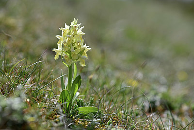 BUITEN BEELD Foto: 342745