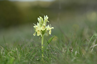 BUITEN BEELD Foto: 342749