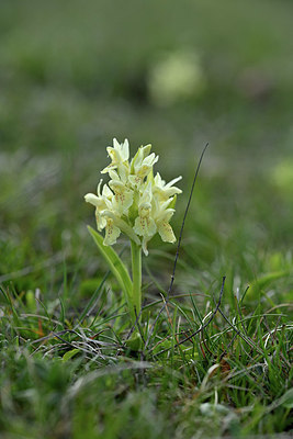 BUITEN BEELD Foto: 342750