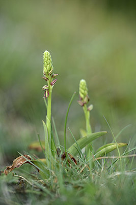 BUITEN BEELD Foto: 342765