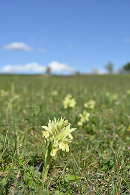 BUITEN BEELD Foto: 342781