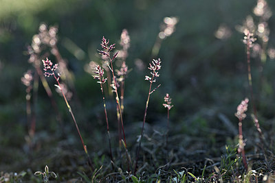 BUITEN BEELD Foto: 342801
