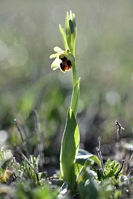 BUITEN BEELD Foto: 342803