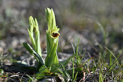 BUITEN BEELD Foto: 342805