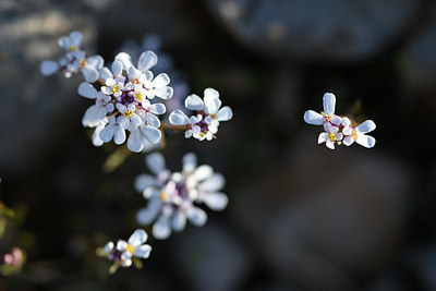 BUITEN BEELD Foto: 342806