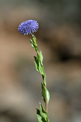 BUITEN BEELD Foto: 342821